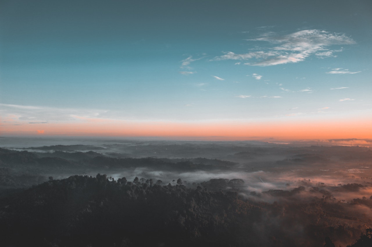 Bird S Eye View Photography Of Green Forest 1208379 1