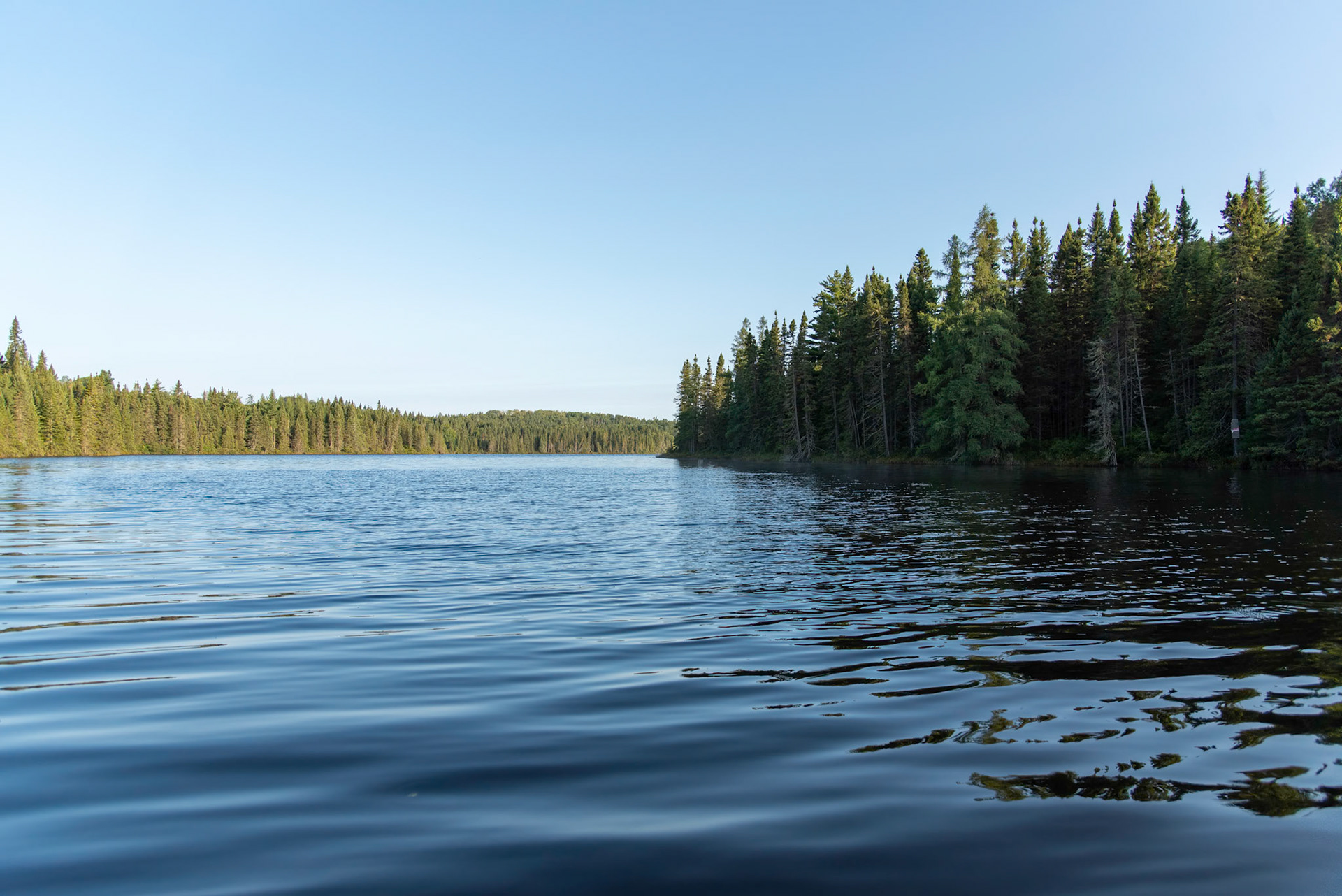 Un lac bordé de forêt — photographie de Maxime Meunier