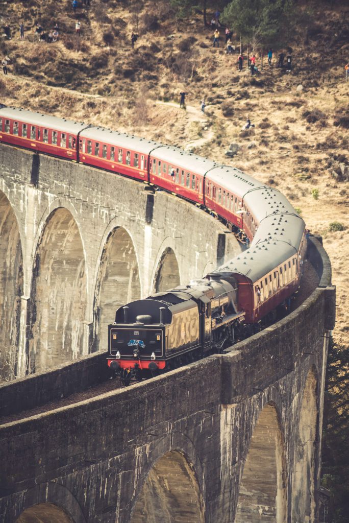 Le train sur le viaduc — photographie de Maxime Meunier