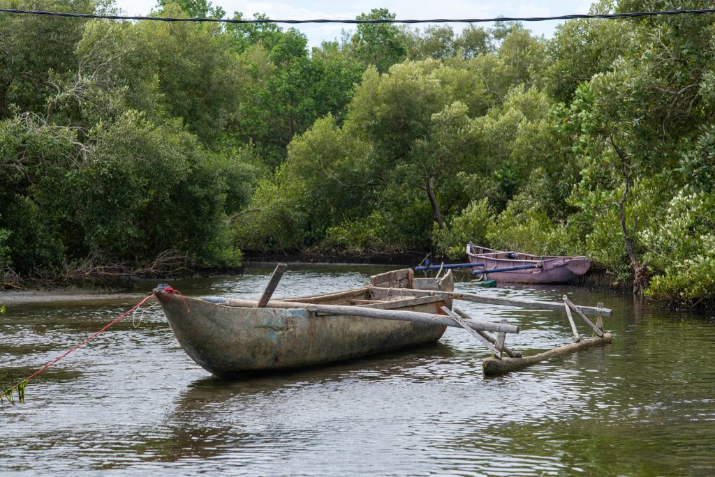 Les pirogues sur la rivière — photographie de Maxime Meunier