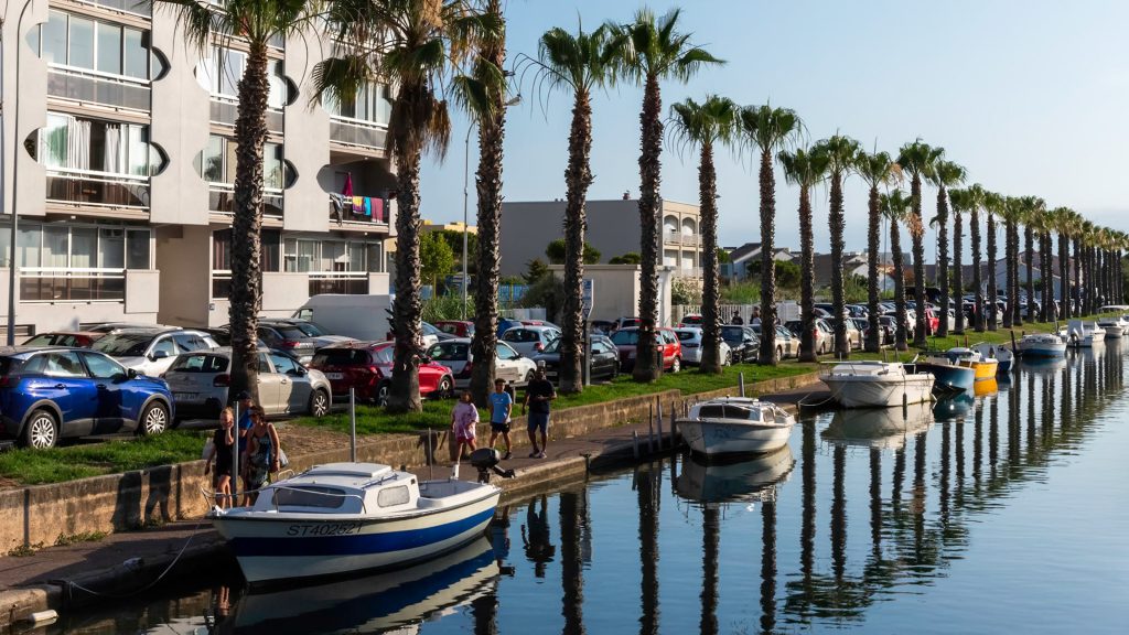 Les palmiers au bord du canal — photographie de Maxime Meunier