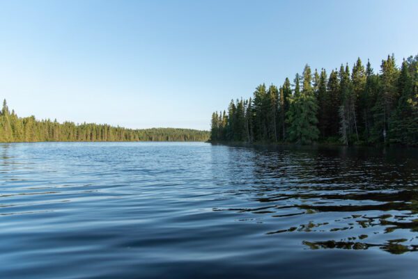 Un lac bordé de forêt — photographie de Maxime Meunier
