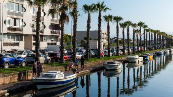 Les palmiers au bord du canal — photographie de Maxime Meunier